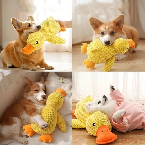 Plush duck dog - duck, durable